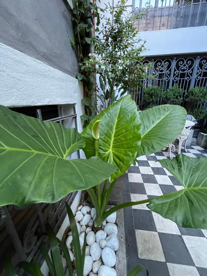 Le Petit Palais Bed and Breakfast Ciudad Autónoma de Ciudad Autónoma de Buenos Aires Exterior foto